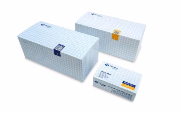 Renew Insert Regular